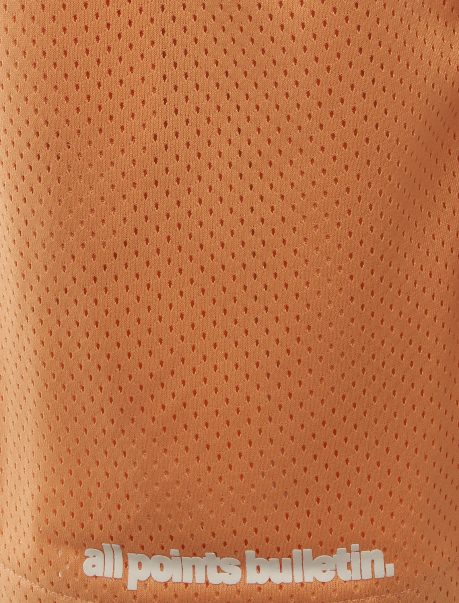 APB ESSENTIALS MESH SHORTS - Image 2