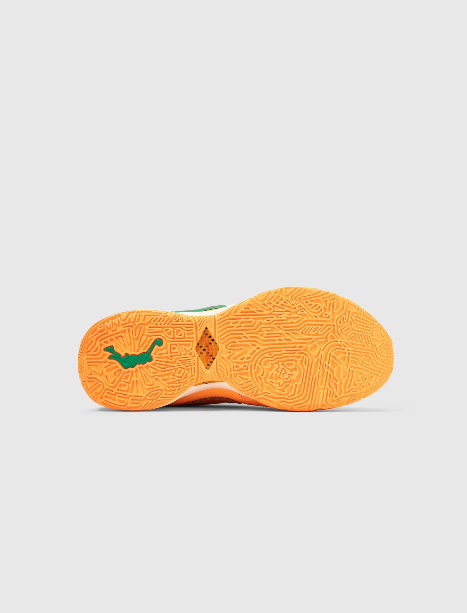 APB x FAMU LEBRON XXs “ORANGE” - Image 6